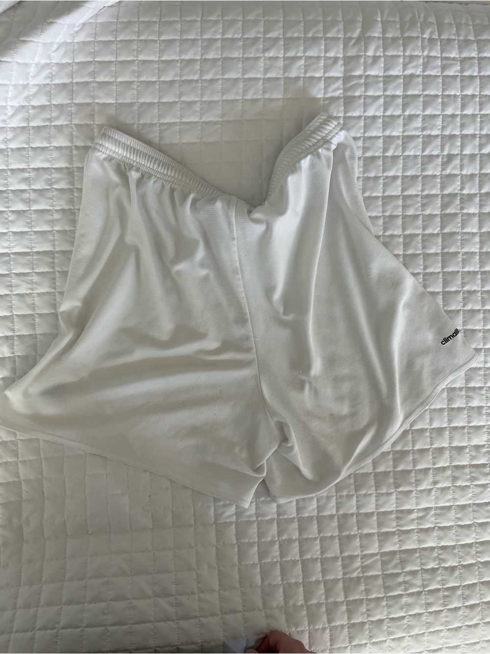 adidas White Women's Athletic Shorts - Climalite